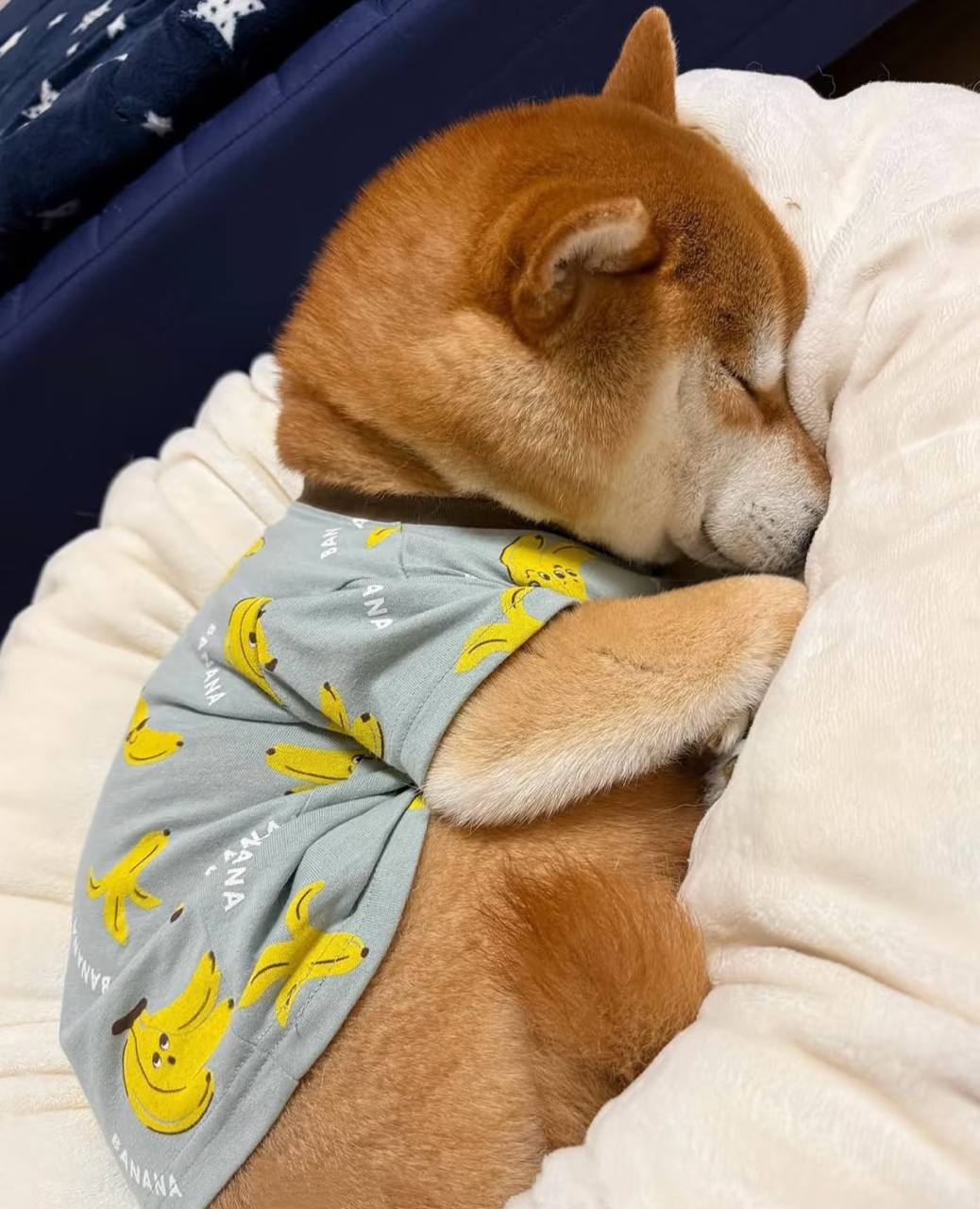 剑神科技